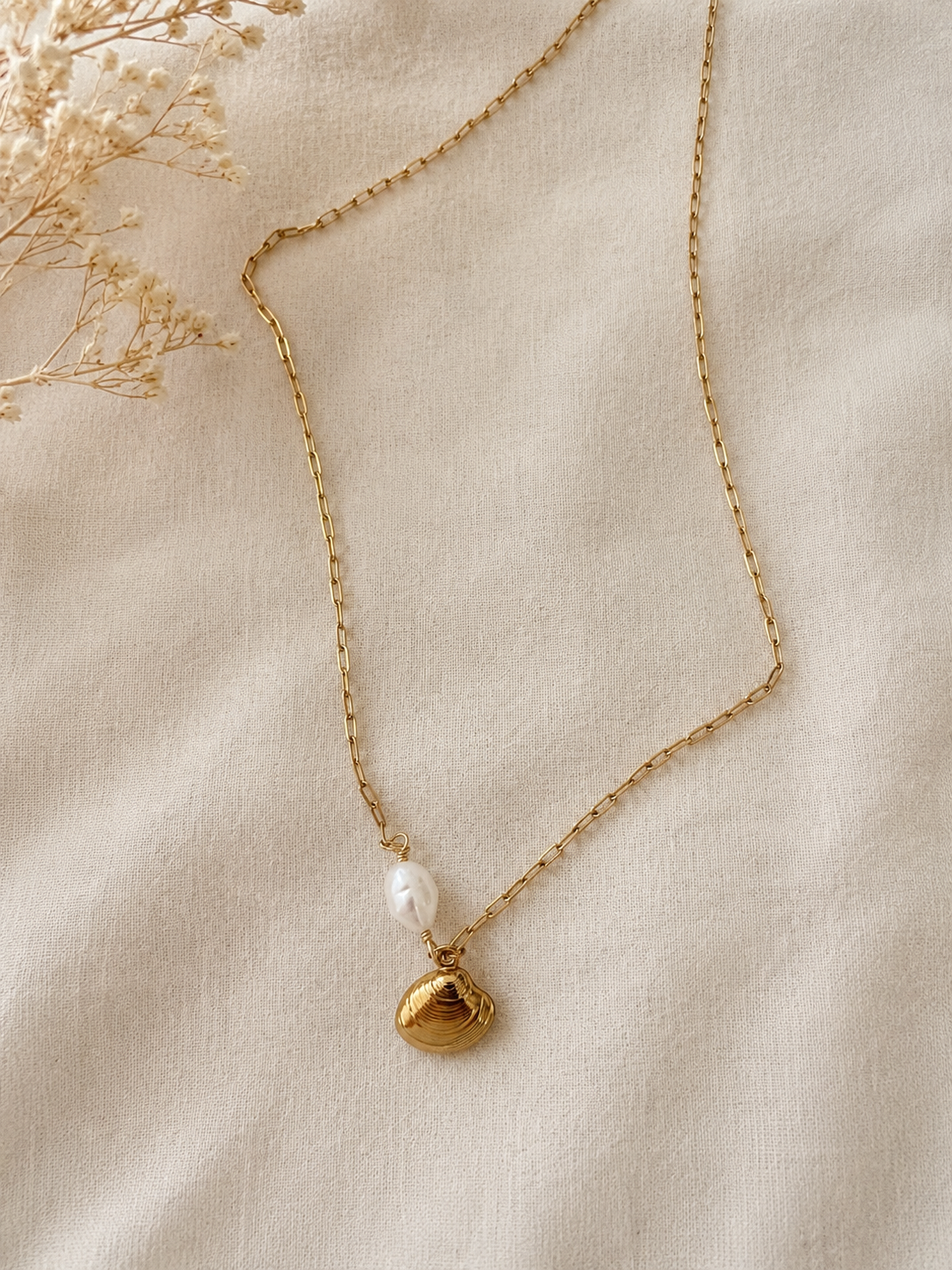 Collier coquillage